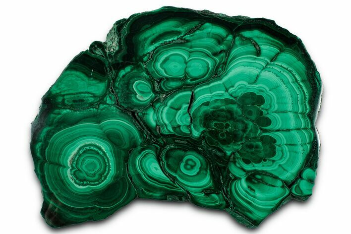 Flowery Polished Malachite Slab - DR Congo #350841